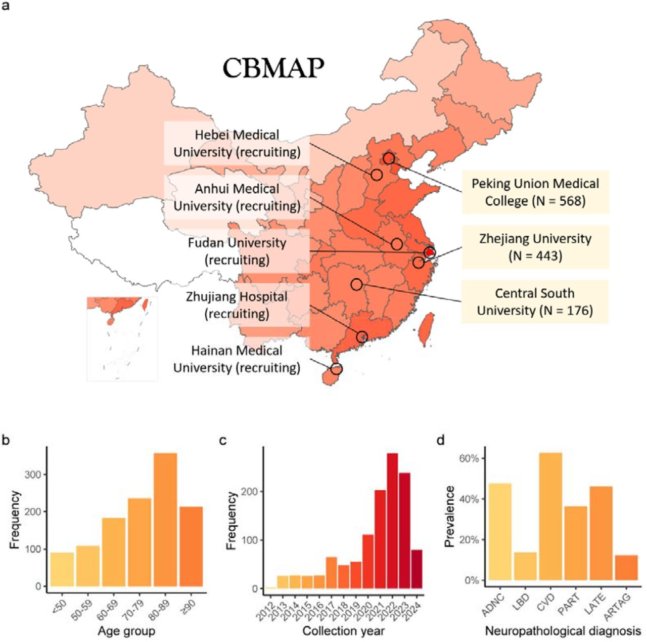 China Brain Multi-omics Atlas Project